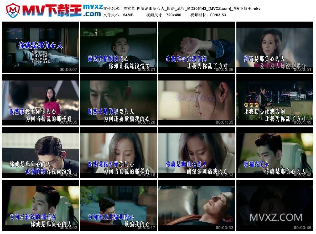 贾富营-你就是那负心人_国语_流行_MD205143